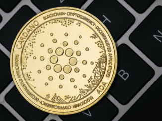 Cardano is undervalued, says Grayscale