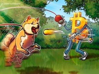 Dogecoin loses 70% against Bitcoin during 6 months of celebrity DOGE endorsements