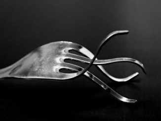 5 Bitcoin Forks: How They Performed Against BTC?