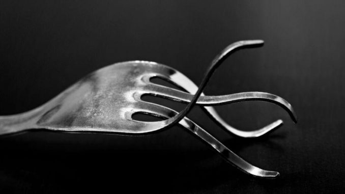 5 Bitcoin Forks: How They Performed Against BTC?