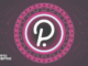 Polkadot Community Approves Parachain Auctions