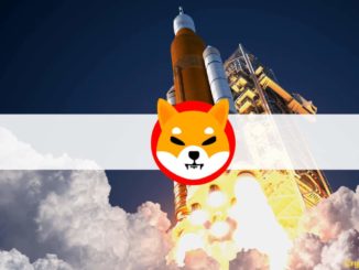 Shiba Inu (SHIB) Skyrockets 100% in Days Following a Big Whale Buy