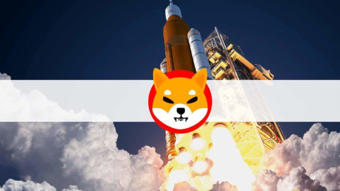 Shiba Inu (SHIB) Skyrockets 100% in Days Following a Big Whale Buy