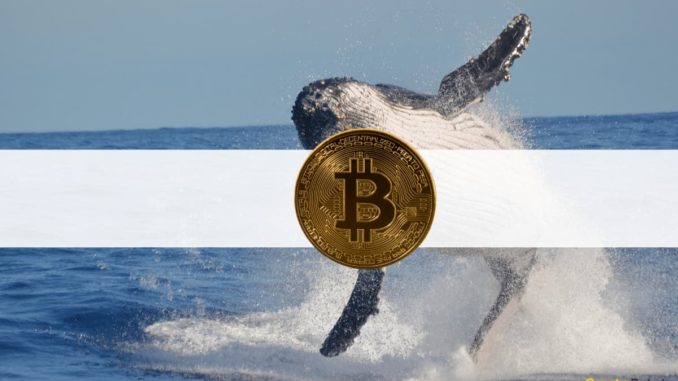 Third-Largest Bitcoin Whale Bought $37 Million in BTC