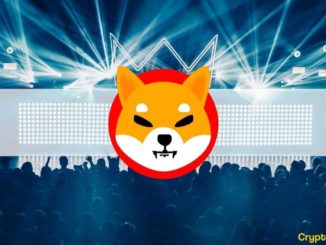 Why Is Shiba Inu (SHIB) Up Over 100,000,000% This Year: A Closer Look