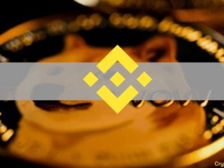 Binance Reportedly Requested Users to Return Dogecoin Received After Latest Update