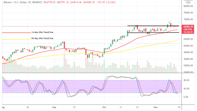 Bitcoin (BTC/USD) Market Operation Ranges at $65,000