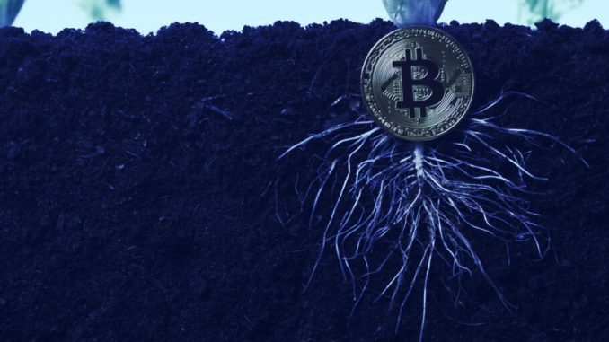 Bitcoin’s Biggest Upgrade Since 2017: Taproot Just Went Live