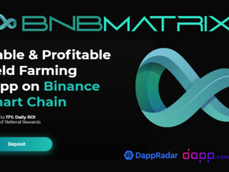 Stable, Profitable Yield Farming dApp on Binance Smart Chain