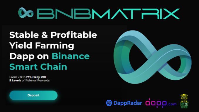 Stable, Profitable Yield Farming dApp on Binance Smart Chain