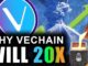 VeChain Volcano: Why VET Can 20x in 2021 (Price Prediction)