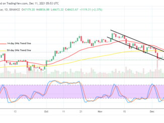 Bitcoin (BTC/USD) Price Lowers, Averaging $45,000 Support Level