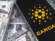 Cardano price bearish trend continues