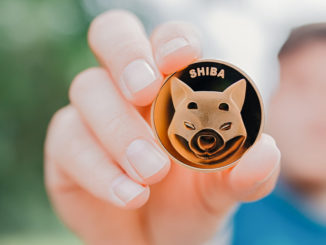 Shiba Inu prospects could improve after blockchain gaming move