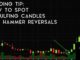 Trading Tip #13: How to Spot Engulfing Candles and Hammer Reversals