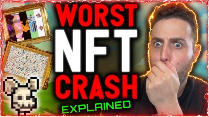 WORST NFT CRASH EXPLAINED!! My strategy to make wild gains in the future