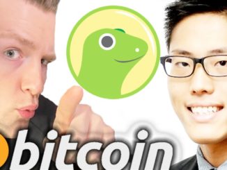 Chatting with CoinGecko Founder - Crazy Story, Success, Bitcoin, Crypto