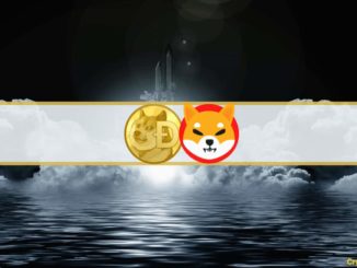 Shiba Inu and Dogecoin Explode 13%, Bitcoin Eyes $44K