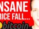 BITCOIN BRUTAL COLLAPSE!! What happened... Programmer explains