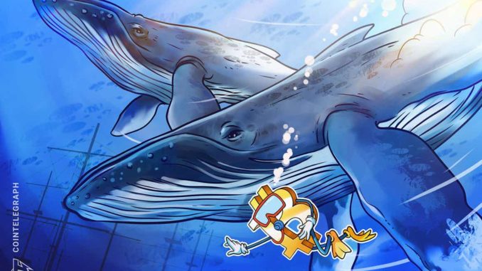 Bitcoin's 30% recovery in two weeks has BTC whales back in accumulation mode