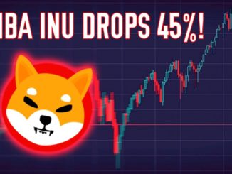 Shiba Inu Dumps 45% In 8 Days | Here's What You Need To Know