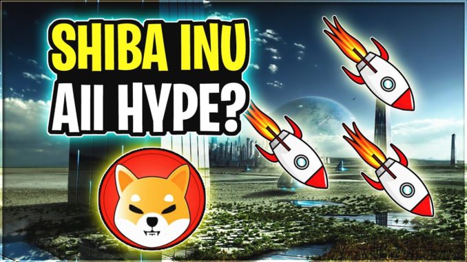 Thoughts on Shiba Inu Coin | Crypto Thoughts