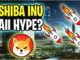 Thoughts on Shiba Inu Coin | Crypto Thoughts