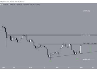 BTC ascending support