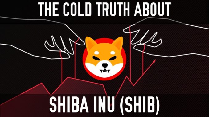 Shiba Inu (SHIB) | The Cold Truth Behind The Hype