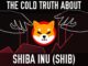 Shiba Inu (SHIB) | The Cold Truth Behind The Hype