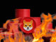 Shiba Inu's New Burn Portal Rewards SHIB Burners for Destroying Their Tokens