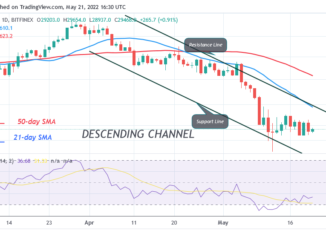 Bitcoin Price Prediction for Today May 21: BTC Price is Unable to sustain above $30K