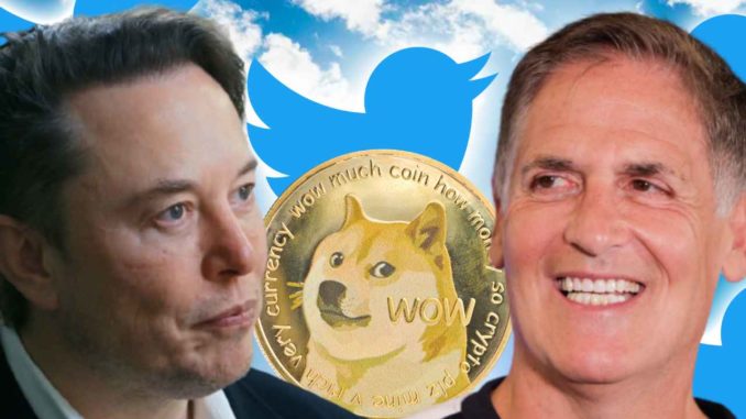 Elon Musk, Mark Cuban Discuss Using Dogecoin to Solve Twitter Spam Problem