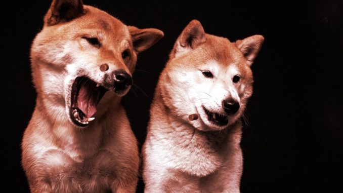 Shiba Inu Is Rebounding Faster Than Dogecoin After Crypto Crash