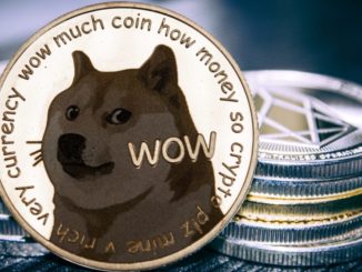 Dogecoin faces a 60% downswing as meme coins trend lower