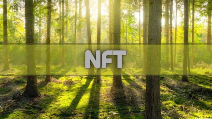 NFT and Crypto Games Outperformed DeFi Amid Market Selloffs in May: Report