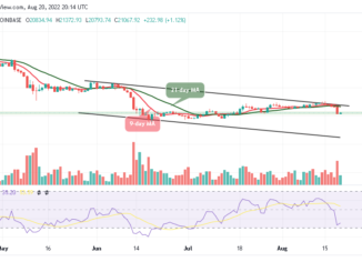 BTC Awaits Possible Breakout while Tamadoge Remains at the Upside