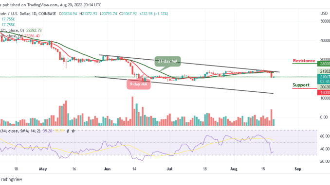 BTC Awaits Possible Breakout while Tamadoge Remains at the Upside