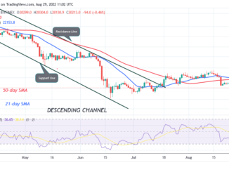 Bitcoin Price Prediction for Today August 29: BTC Price Recovers as It Struggles Below the $20.6K High