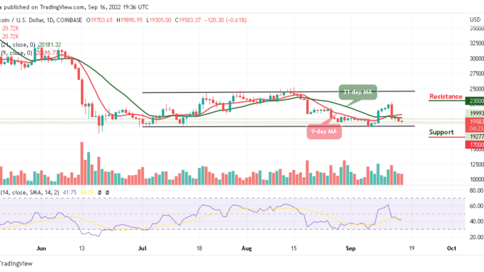 BTC Could Touch $19,000 Support; TAMA is Extremely Cheap Right Now