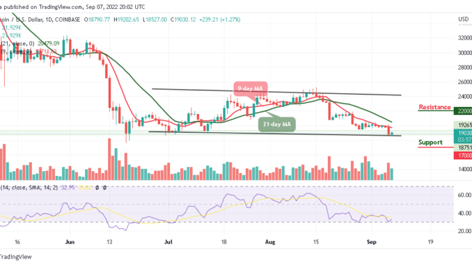 BTC Trades Above $19,000; the Sky is the Beginning for TAMA