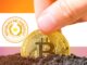 Bitcoin Miner Pow.re Begins Mining Facility Construction in Paraguay, Acquires 3,600 Microbt ASICs – Mining Bitcoin News