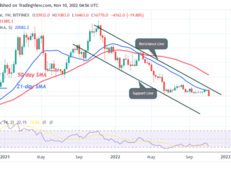 Bitcoin Price Prediction for Today, November 9: BTC Price Plunges to $16.4K