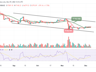 Bitcoin Price Prediction for Today, December 7: BTC/USD Slumps as Price Targets $16,500