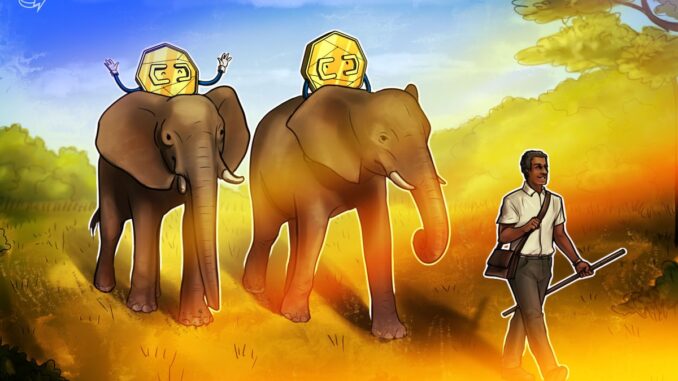 Central African Republic eyes legal framework for crypto adoption