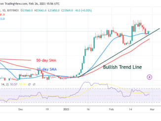 Bitcoin Price Prediction for Today, February 27: BTC Price Rebounds but Risks Decline below $23K