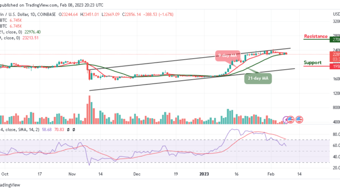 Bitcoin Price Prediction for Today, February 8: BTC/USD Could Form Decent Support at $22,500 Level