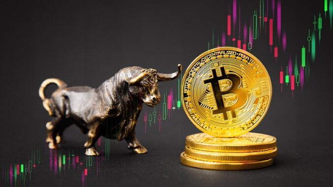 Bitcoin surges above $30,100: here are the driving factors