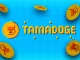 Tamadoge Skyrockets 80% Ahead of Exchanges Listing and App Release