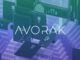 Avorak AI CEO Explains How Hardware Wallets Remain Safe